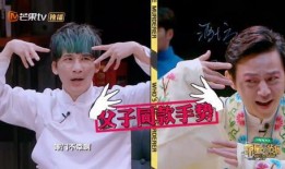 明星大侦探第九季 网红大鹅陈妍染,网红大鹅陈妍染之谜